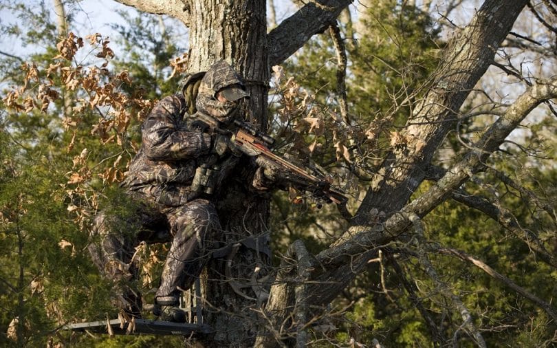 The Painful Truth About Crossbows
