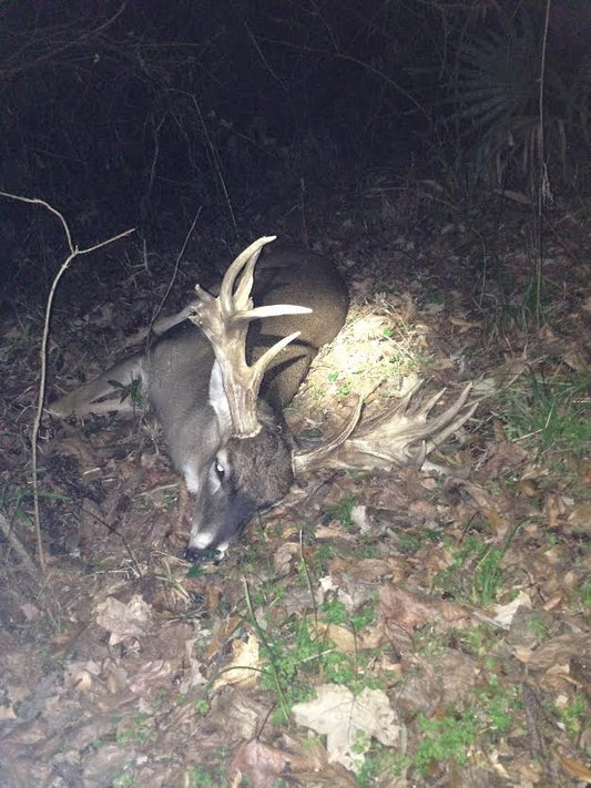 Garry Ward Takes Gnarly Madison Parish Buck