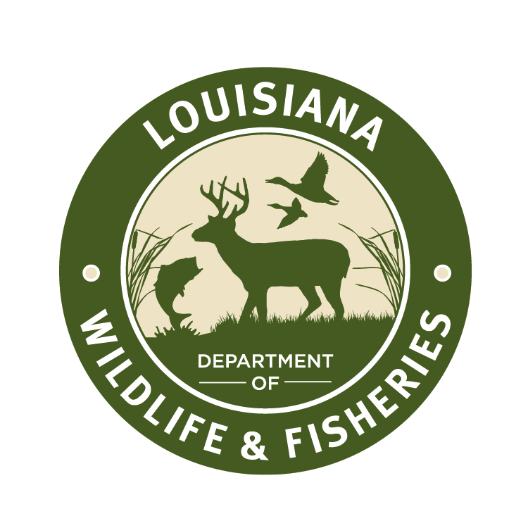 High water in Maurepas Swamp WMA Forces Closure of Deer Hunting Season