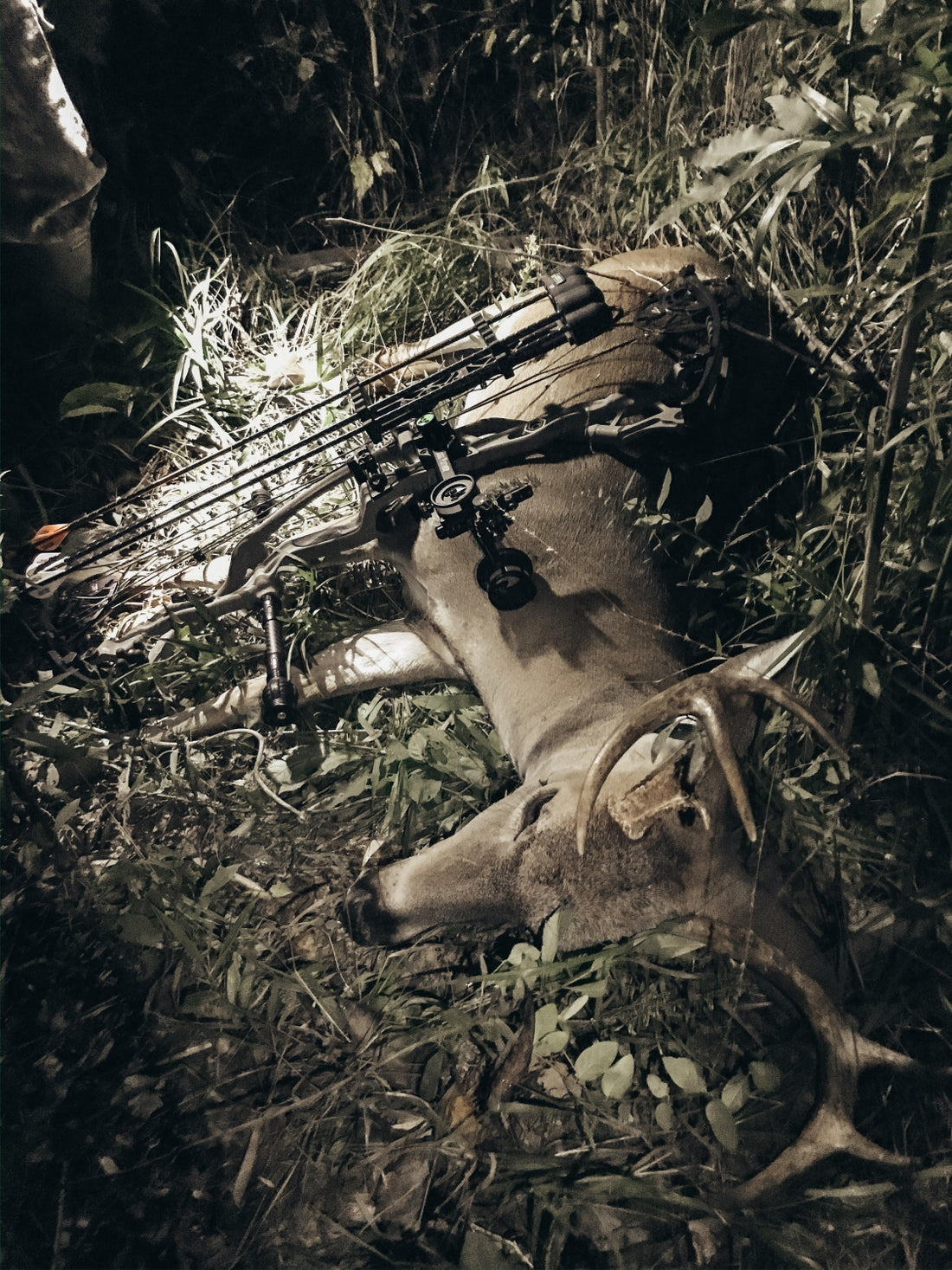 Tactics For Your Next Public Land Kill