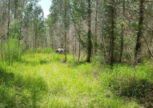 Give Ground Blinds a Try