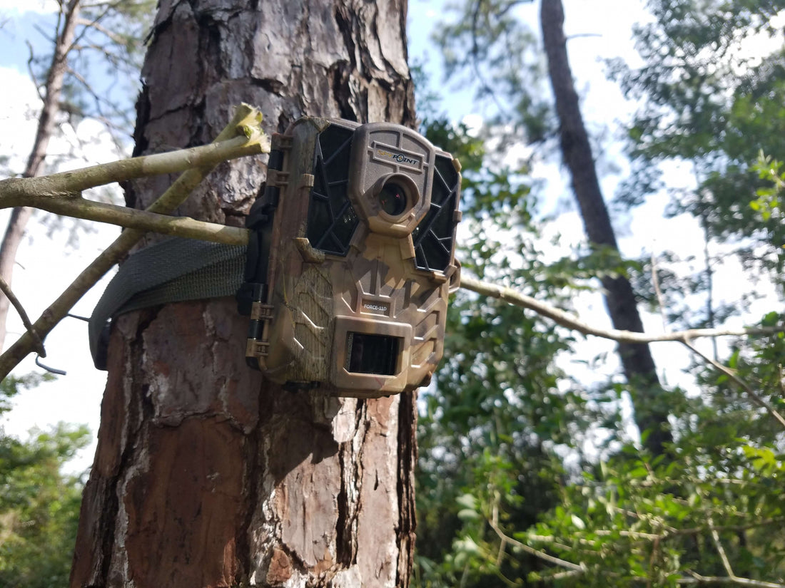 Take the Headache out of Trail Cams