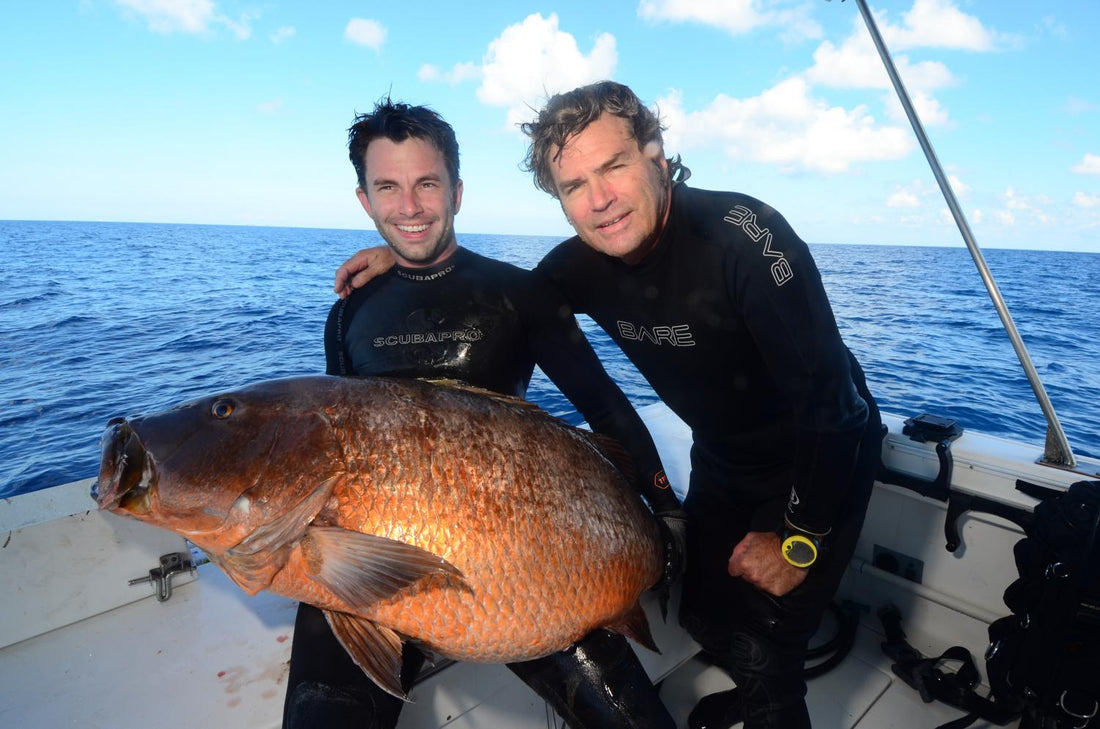 Spearfishing and Bowhunting