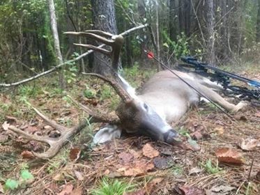 LABH Exclusive: Lafayette Hunter Downs Buck He Previously Passed
