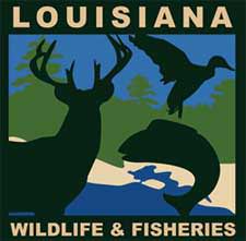 Youth WMA Lottery Hunt Apps Now Available