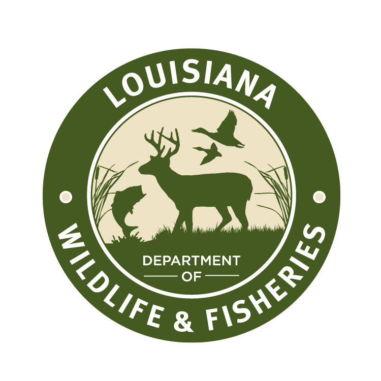 LDWF Makes Chronic Wasting Disease Testing Service Available to Hunters