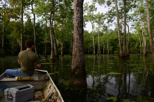 LABH Blog: Spring Time Bass in the Bow Woods
